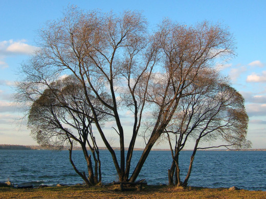 48913 (a): :1600x1200